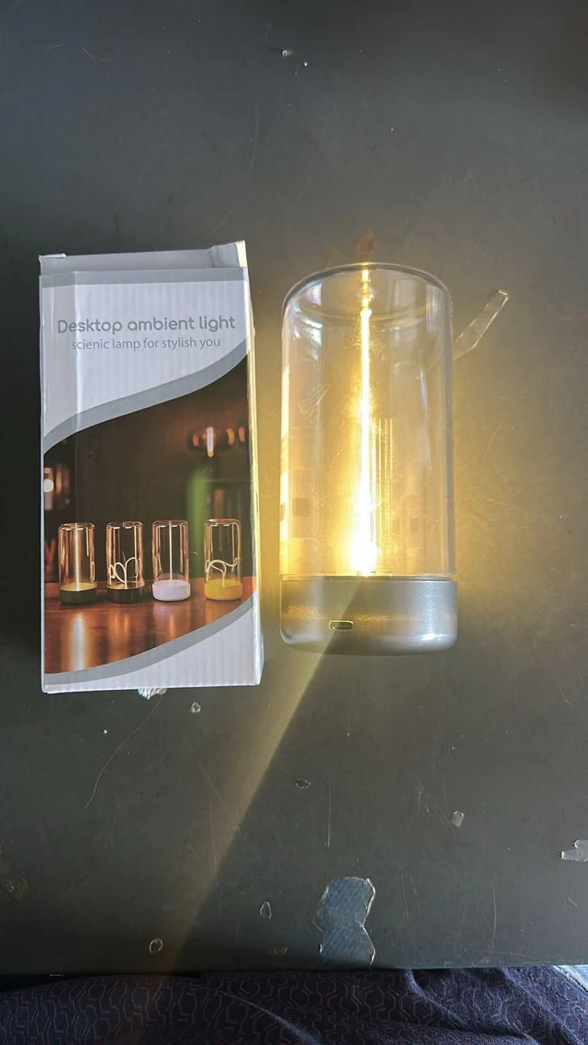 Magnetic lamp light